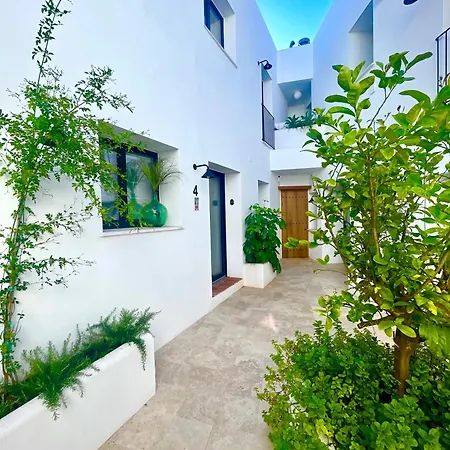 Mimare * Denia